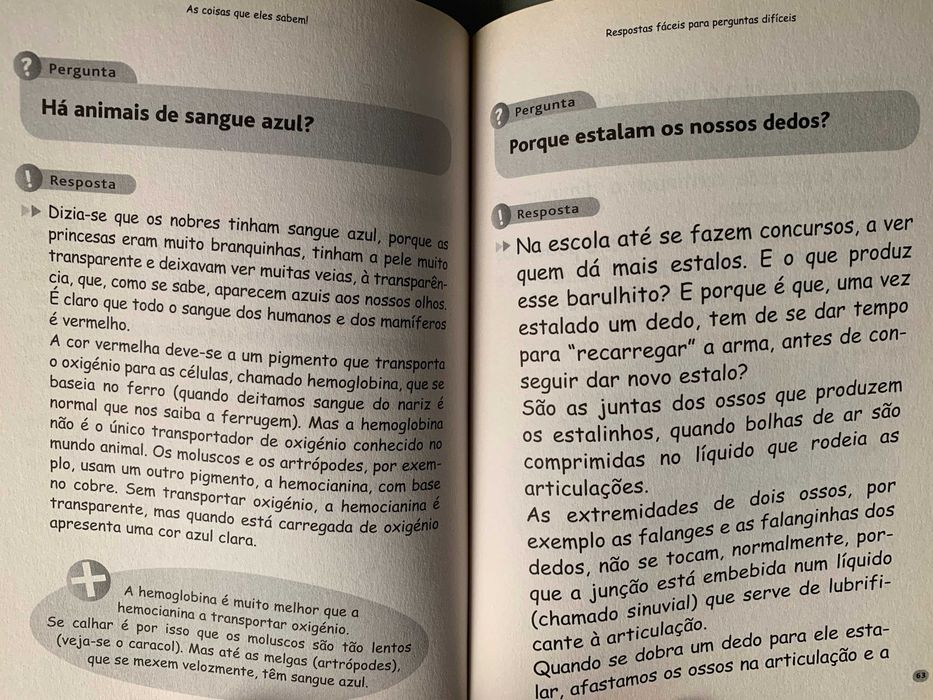 As Coisas que Eles Sabem, de António Costa Santos