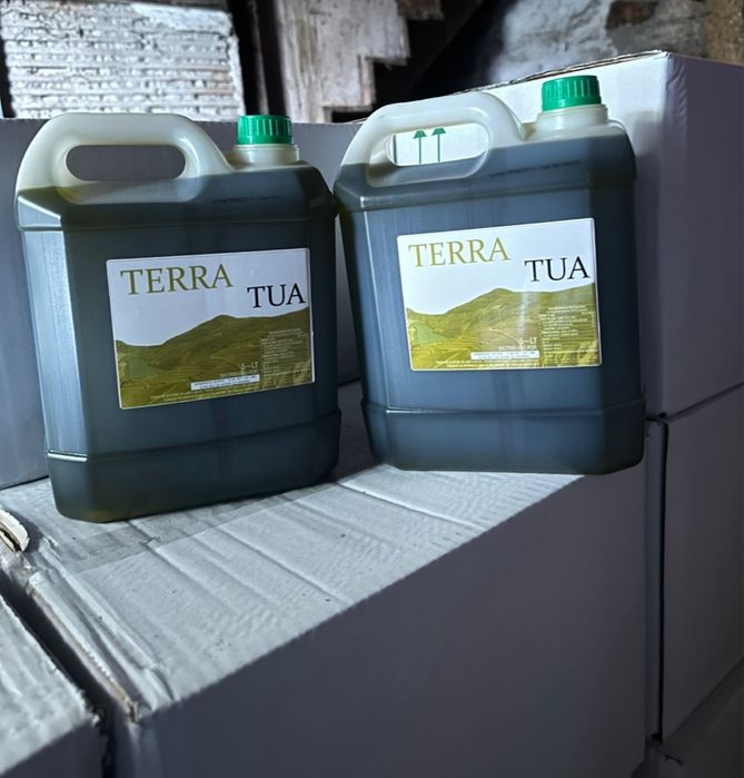 Azeite e produtos alimentates