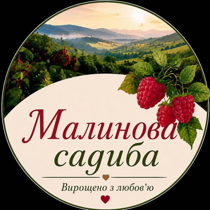 Свіжа ремонтантна малина | Передзамовлення | Власна плантація