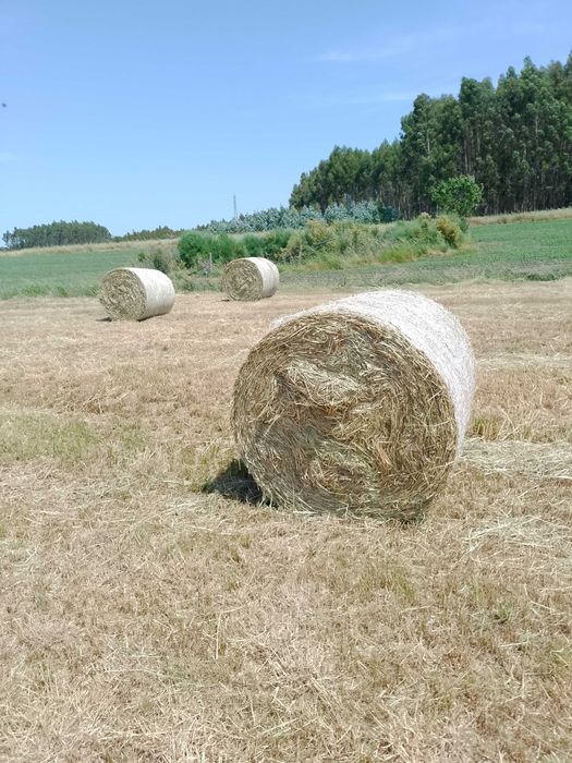 Venda feno varias variadas