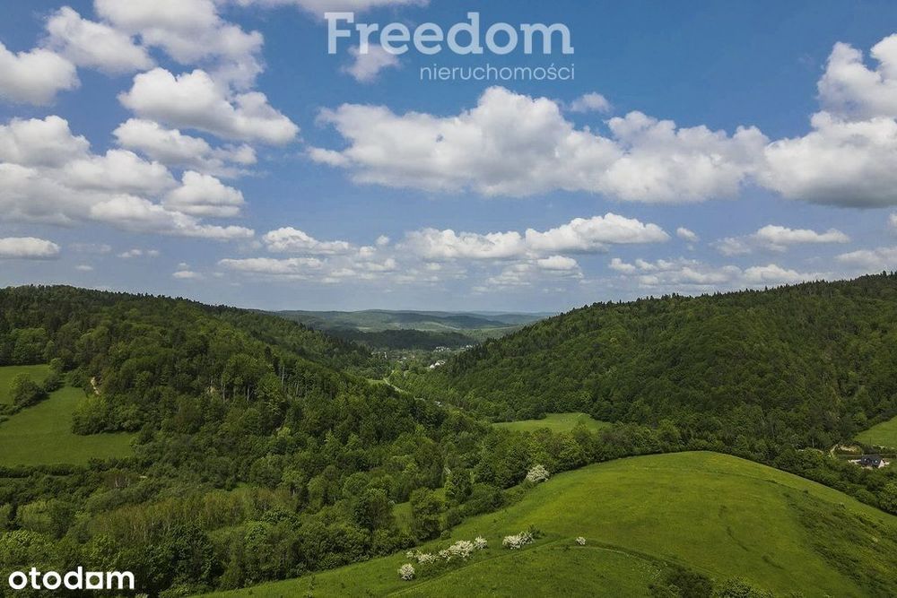 Działka na stoku, Mchawa, Bieszczady - Widok 4
