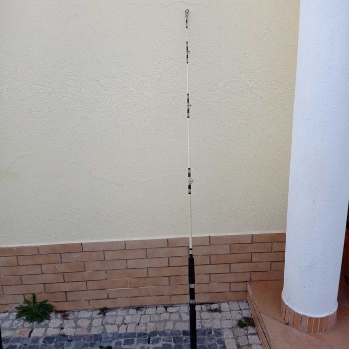 Vendo 2 Canas de pesca