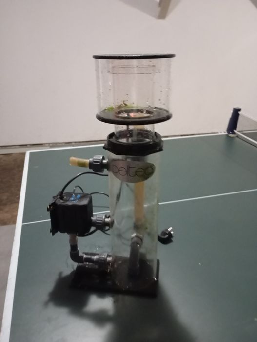 Aquário de água salgada