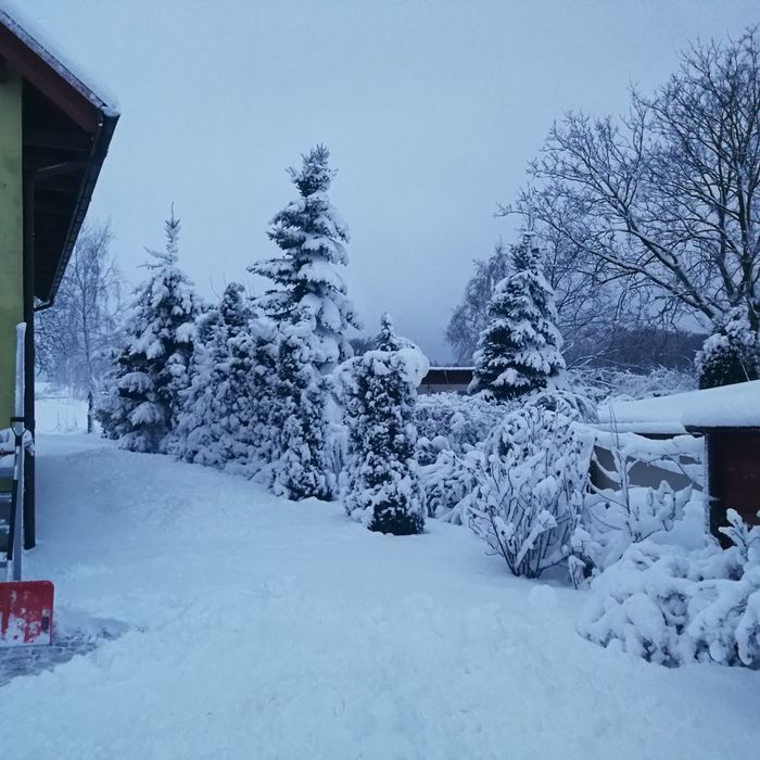 Pokoje gościnne Agroturystyka U Emili najbliżej Kurza Góra Kurzętnik