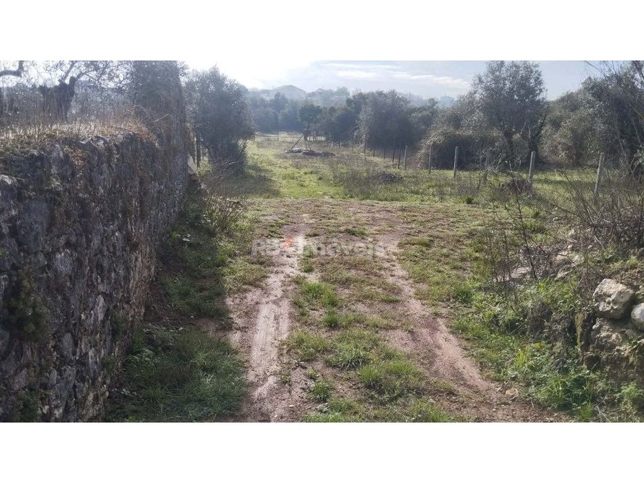 Terreno misto com 3080 m2, em Delongo