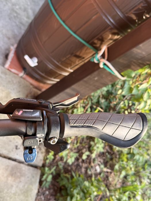 Rower elektryczny Bergamont E-line C