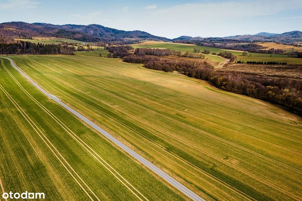 Wyjątkowe działki budowlane z widokiem na Sudety - View 5