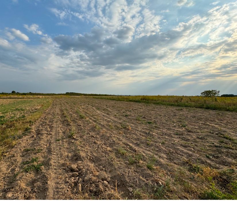 Земельні Ділянки.До 300 Га.