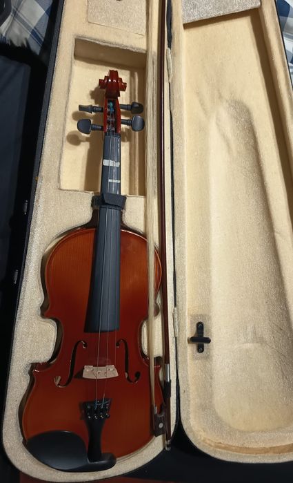 violino 4x4 semi novo