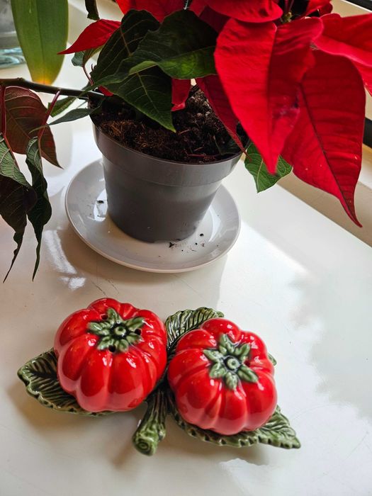 Conjunto de Saleiro e Pimenteiro Design de Tomate por Faiobidos