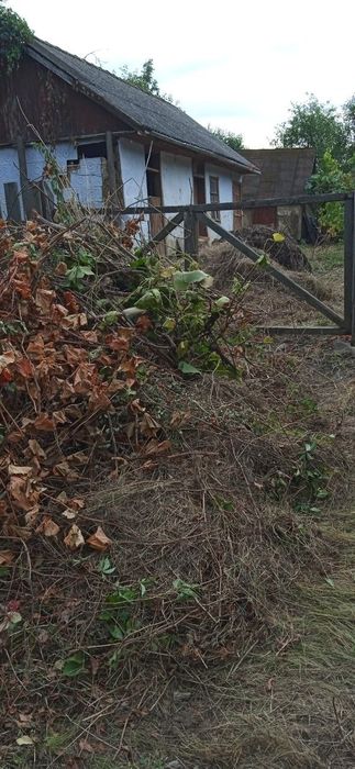 Будинок з територією