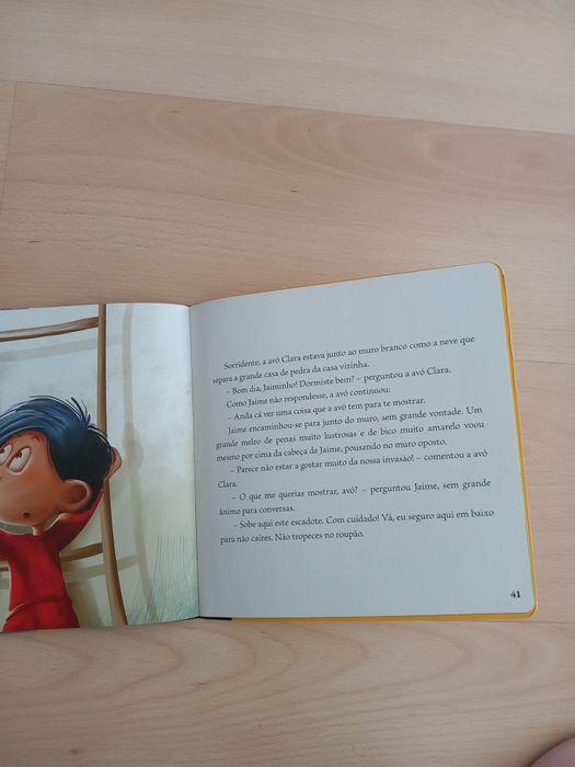 Livro "O cotão Simão"