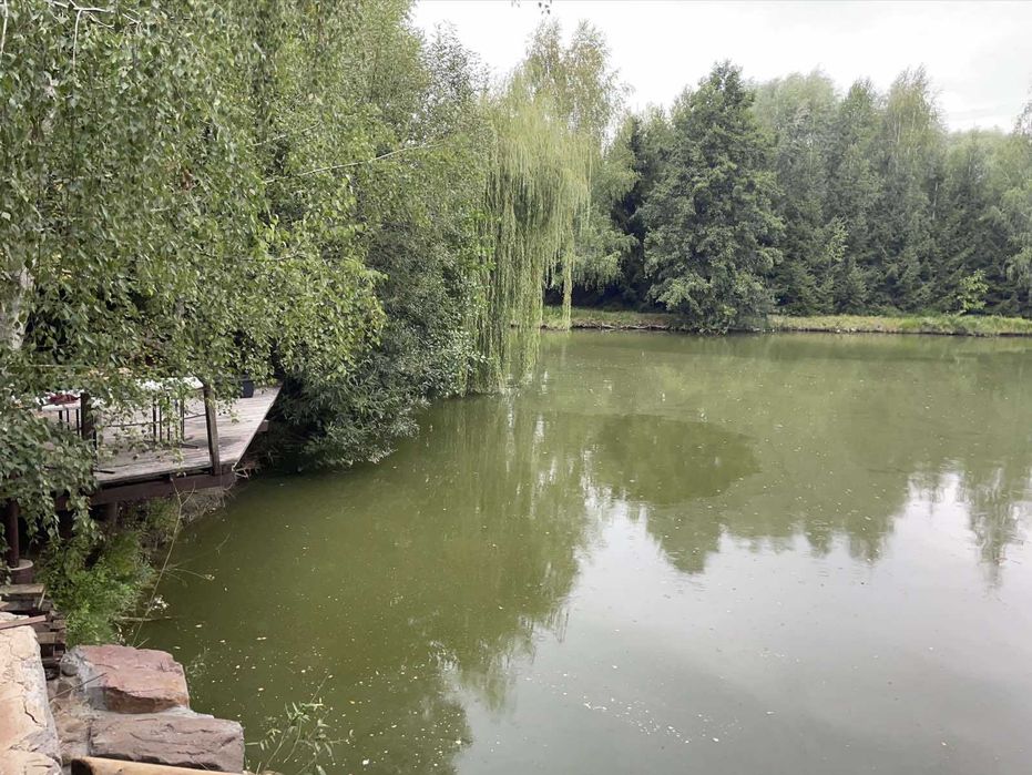 Будинок, 150сот. власне озеро с.Здорівка Васильківський  Київська обл.