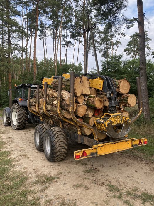 SKŁAD DREWNA opałowego i kominkowego