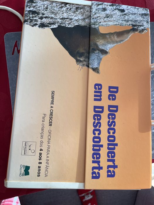 Mala de descobrrta em descoberta