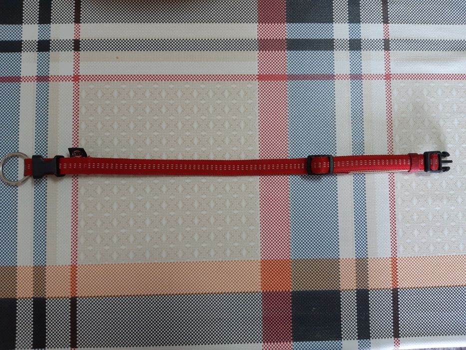 Vendo Coleira de Cão