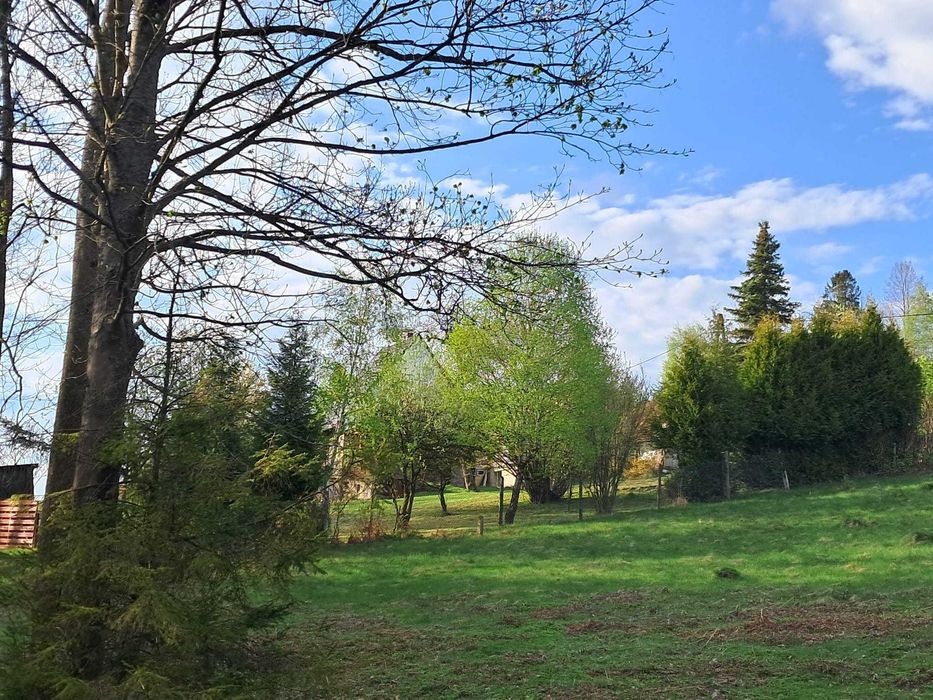 Dom – Brenna, U Obrazka - Więcej