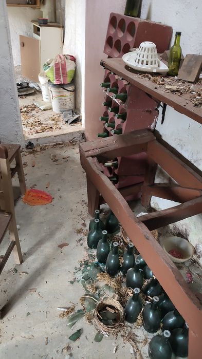 Ofereço garrafas de vinho , 0€