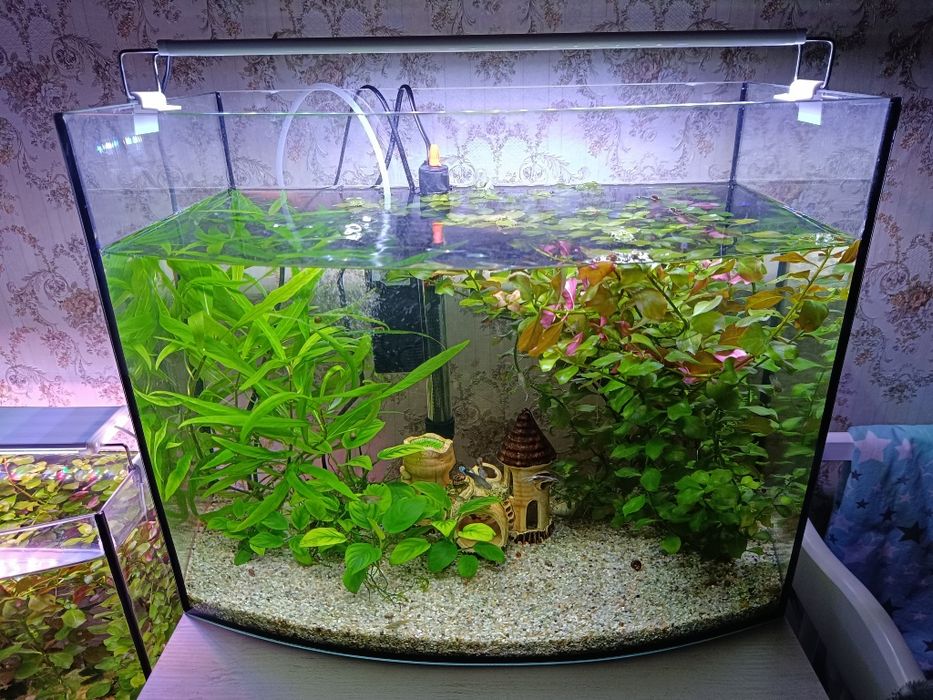 2 аквариума работающих