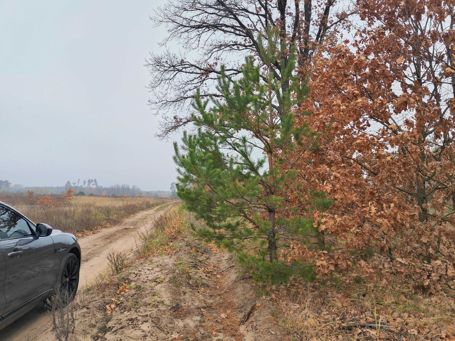 Ділянка 15 сот під забудову в найкращій локації під лісом | Дмитрівка