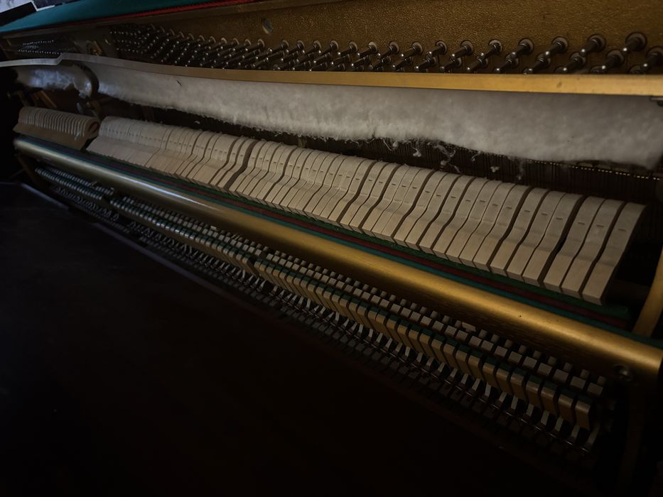 Pianino calisia sprawne