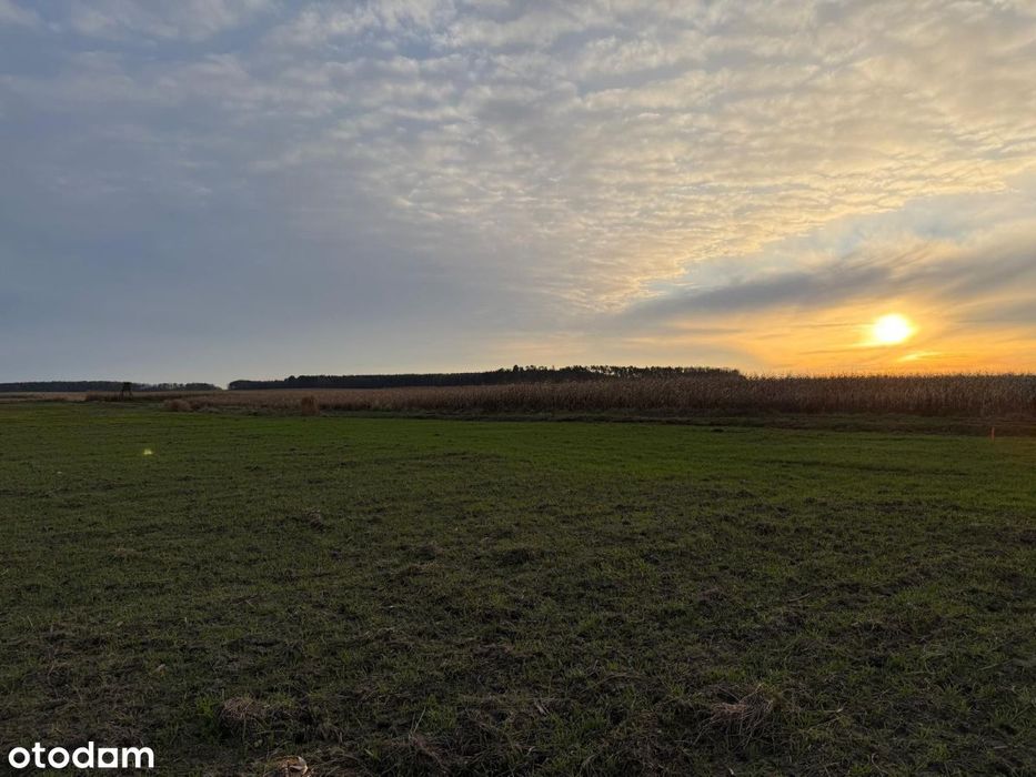 Działki rolne na sprzedaż | bliskość rzeki
