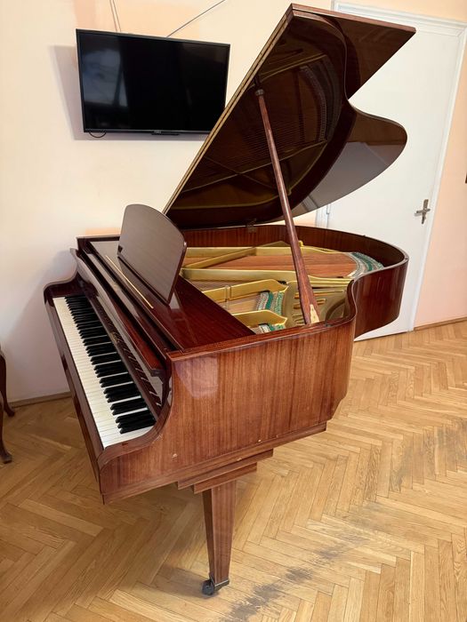 Кабінетний акустичний рояль/фортепіано «Rönisch»