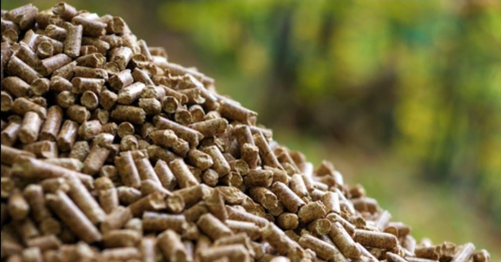 Węgiel Pellet Groszek