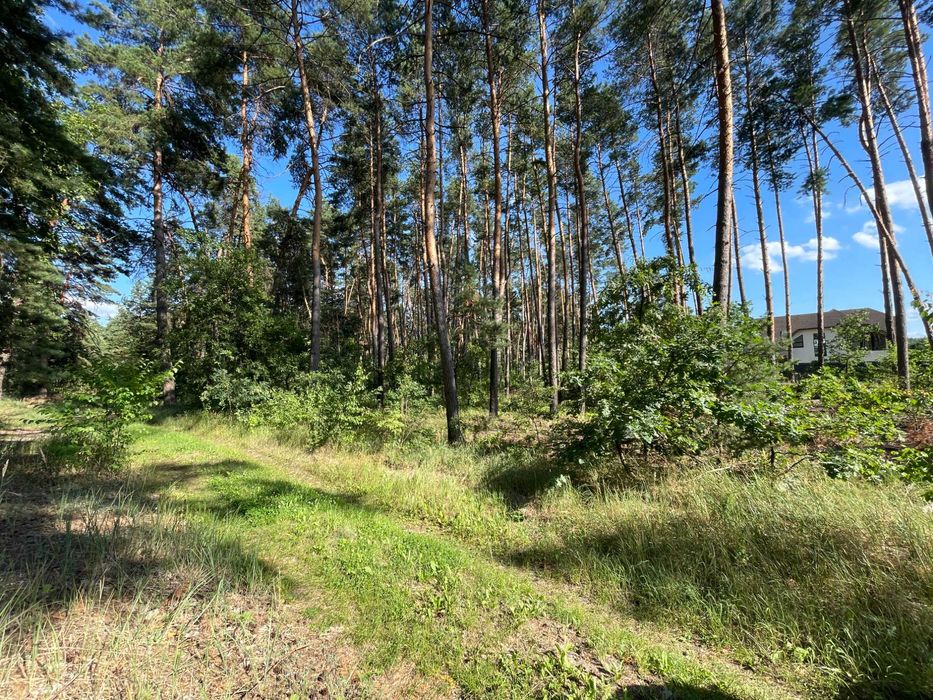 Продаж земельної ділянки в с. Кедина Гора