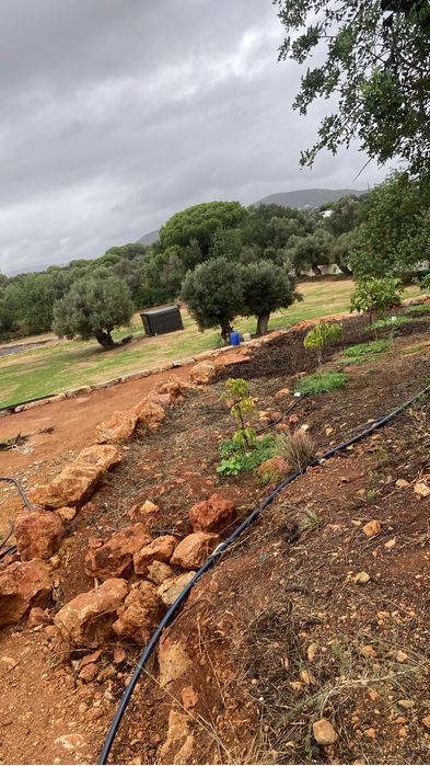 Limpeza de Terrenos e Arvores Manutenção de Jardins