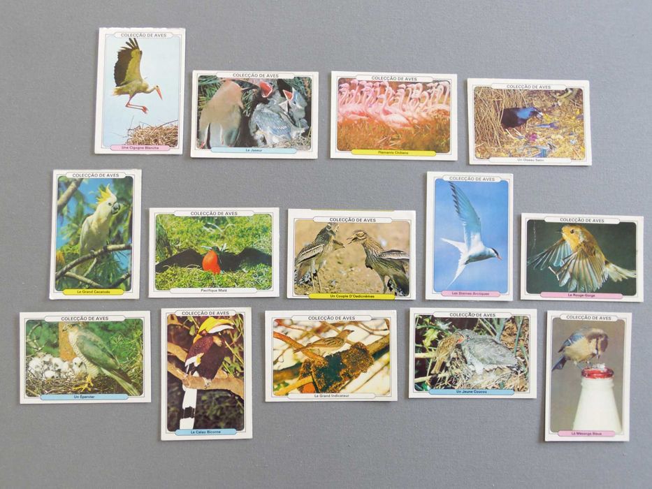 Calendários Peixes, Borboletas, Aves