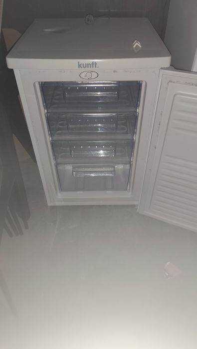 Arca congeladora
