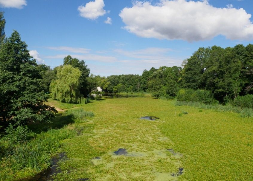 Очирето Косарка для косіння водної рослинності