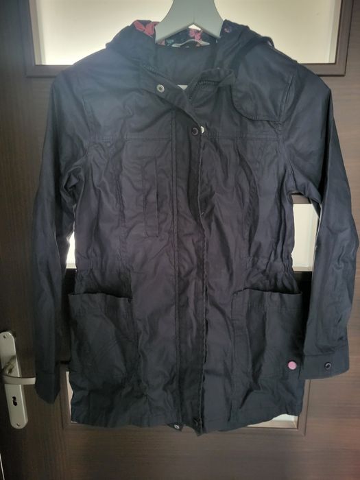 Płaszczyk coccodrillo