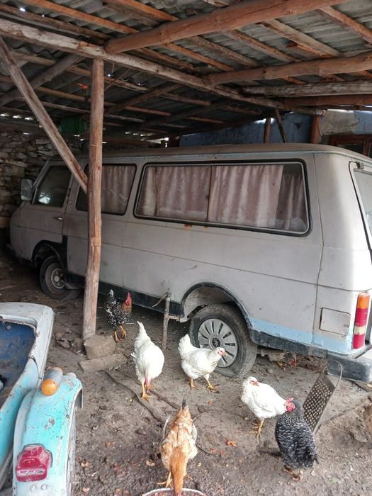 Продаю раф треба трохи подивитися