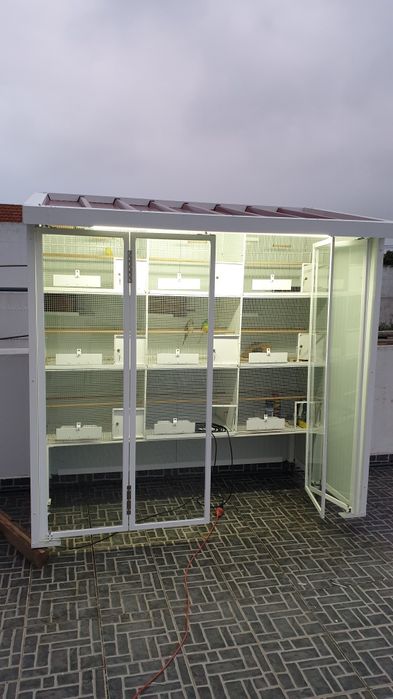 Viveiro de pássaros