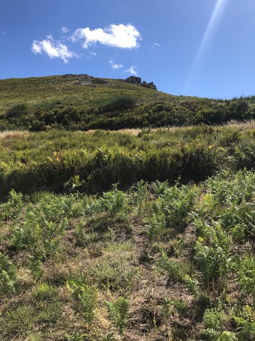 Terreno rústico na berma barragem pisões