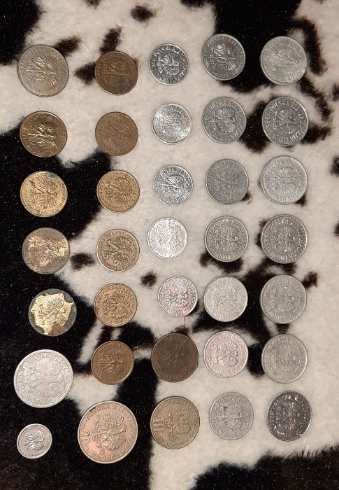 Kilkadziesiąt starych monet