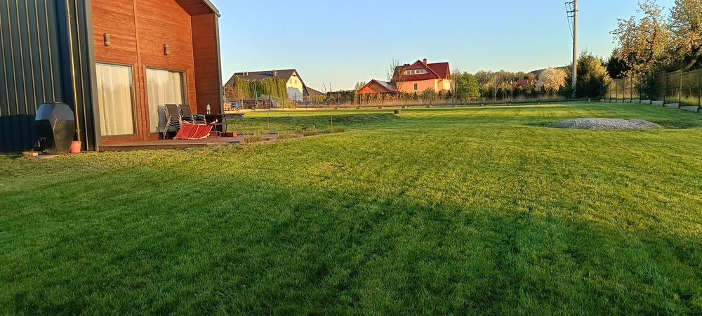 Koszenie trawy. Prace ogrodowe przycinanie , wycinka ,rebak gałęziowy
