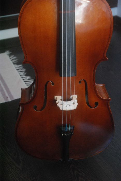 Violoncelo 1/2 Iniciante