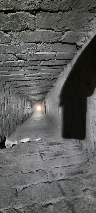 Сажотрус Трубочист