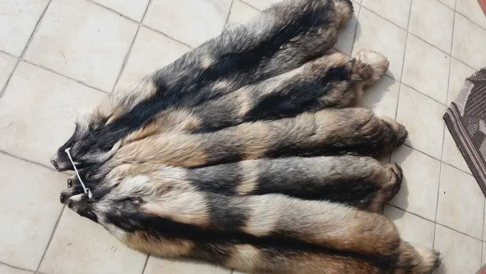Skóry naturalne z jenota