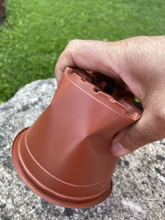 Conjunto de 50 vasos de plástico 12 cm.