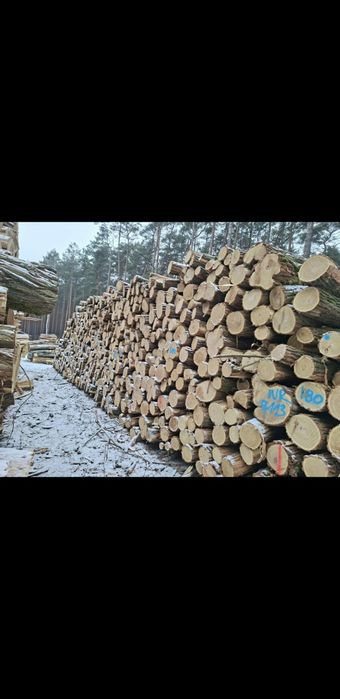 Drewno stosowe: grab,akacja,jesion S2a