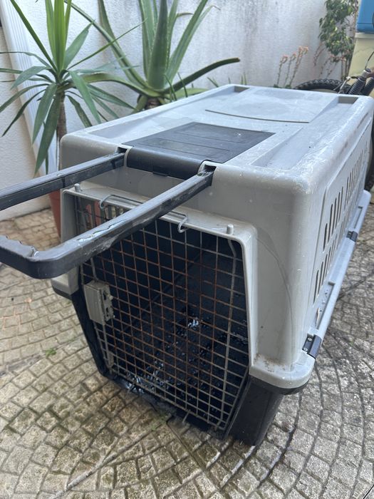 Caixa transportadora