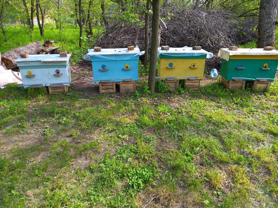 Натуральный нефильтрованный яблочный уксус, яблучний оцет на мёде