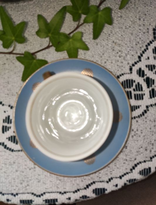 Ćmielów krokus filiżanka + spodek porcelana W. Potacki