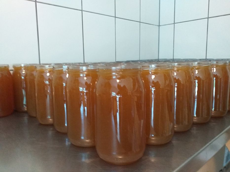 "Miód kołobrzeski" wielokwiatowy kremowany z imbirem 430g