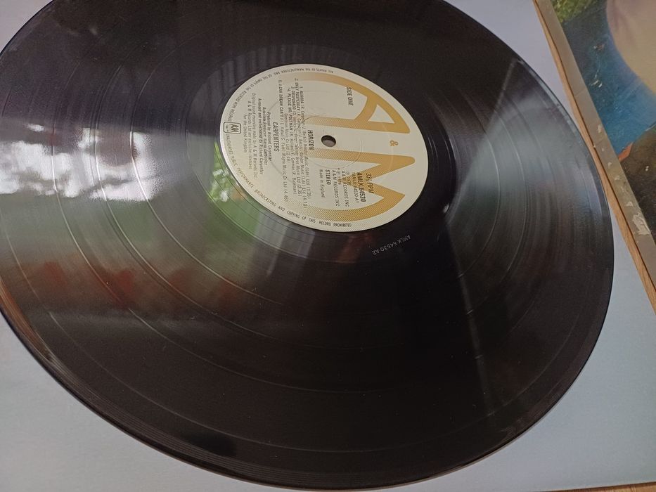 Carpenters - Horizon płyta winylowa