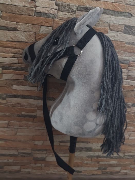 Hobby Horse A 2.